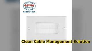 Placa de pared Ethernet tipo Clean Cable Management 86