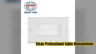 Placa de pared Ethernet tipo Clean Cable Management 86